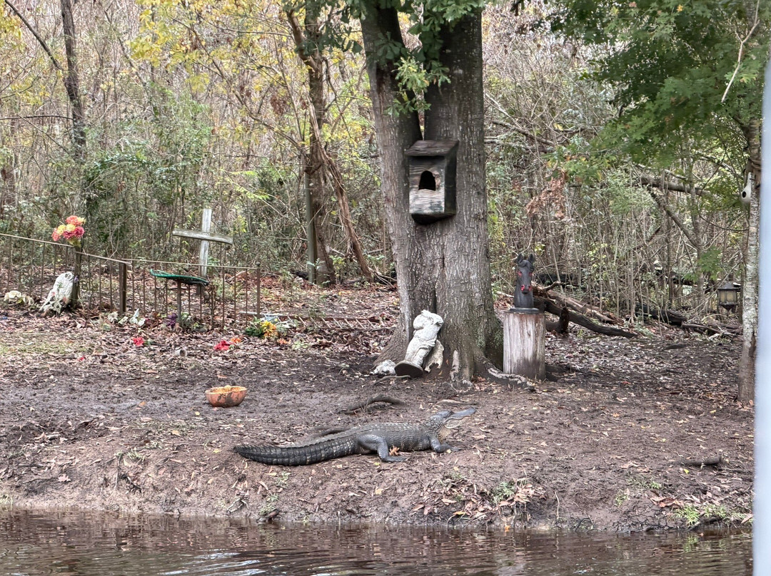 Cajun Pride Swamp Tours-LaPlace必去景点