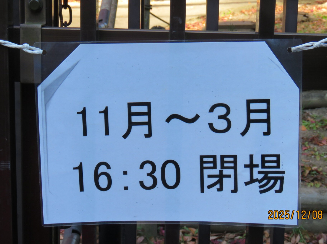 Ruins of Yofukuji Temple-镰仓市必去景点