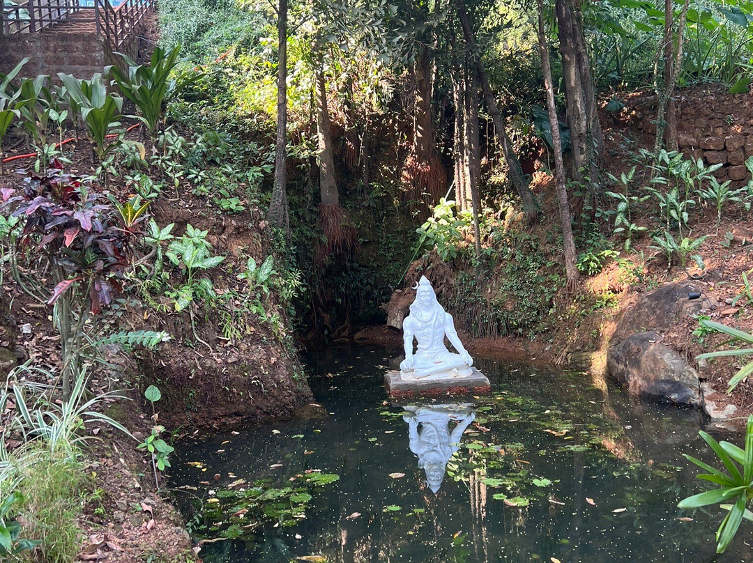 Stone Wood Premier Gokarna主图