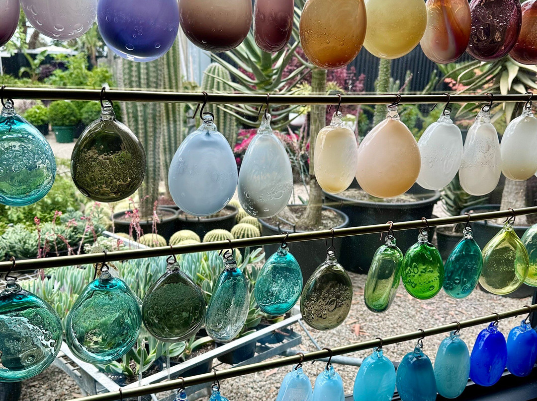 Mornington Peninsula Plunge Wine Tours-巴尔纳灵必去景点