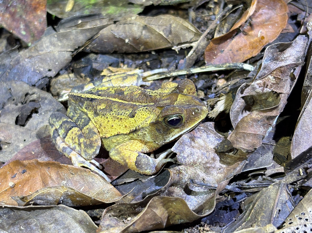 Santa Lucia Falls-乌维塔必去景点