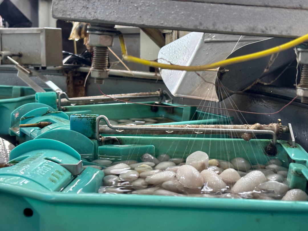 Mr. Peace's Tour Dalat-大勒必去景点