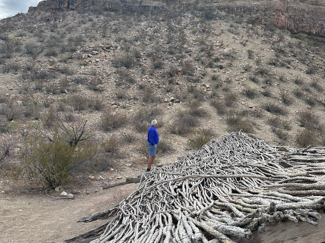 Far Flung Outdoor Center-Terlingua必去景点