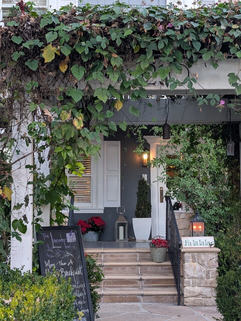 The Lavender Inn-官方