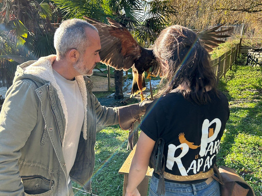 Parc aux Rapaces - Fauconnerie Marche - Madiran-Saint-Lanne必去景点