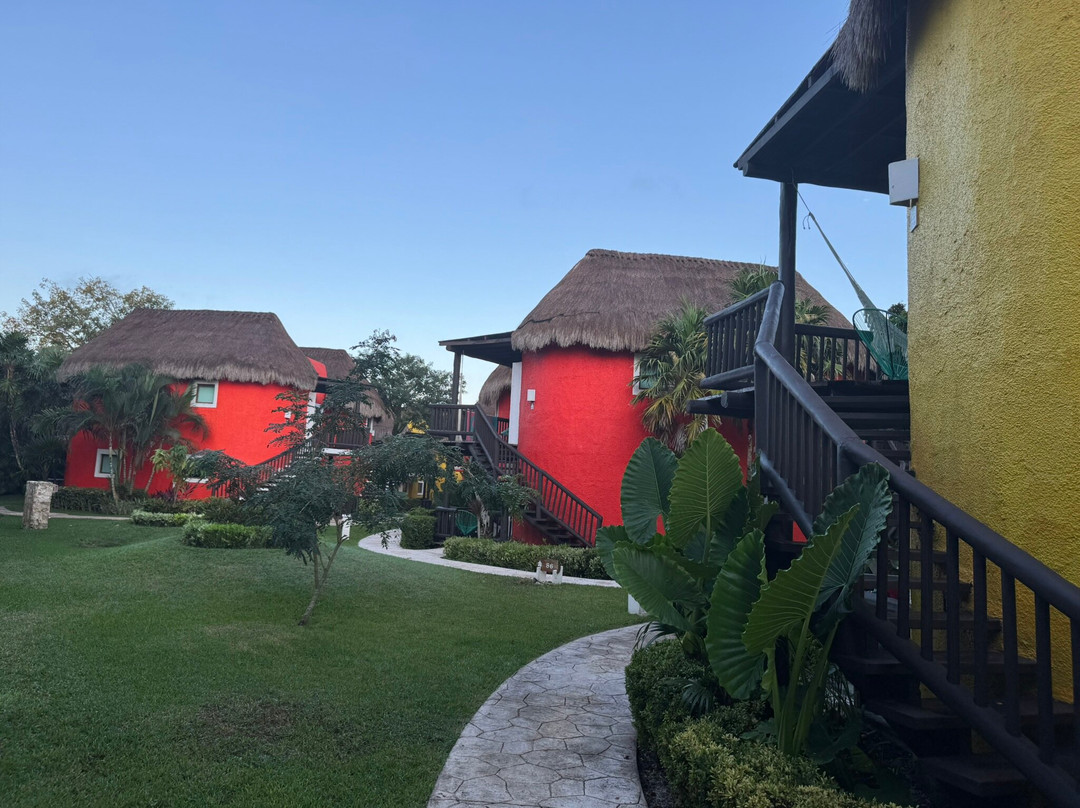 Iberostar Waves Cozumel主图