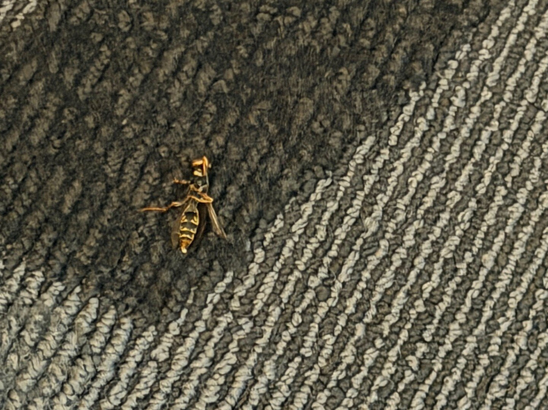 TownePlace Suites by Marriott Tulsa North/Owasso主图