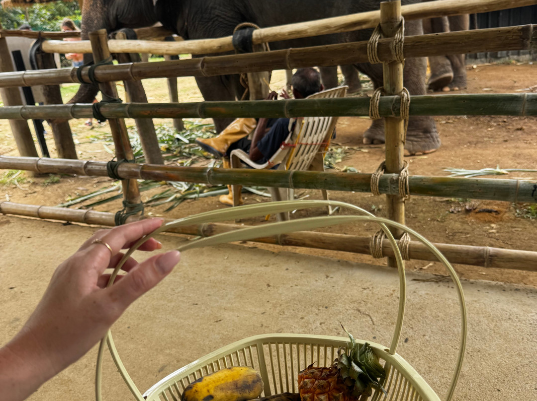 Lanta Island Elephant Lover-Khlong Hin必去景点