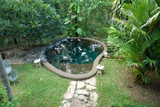 Marae Bed and Breakfast主图