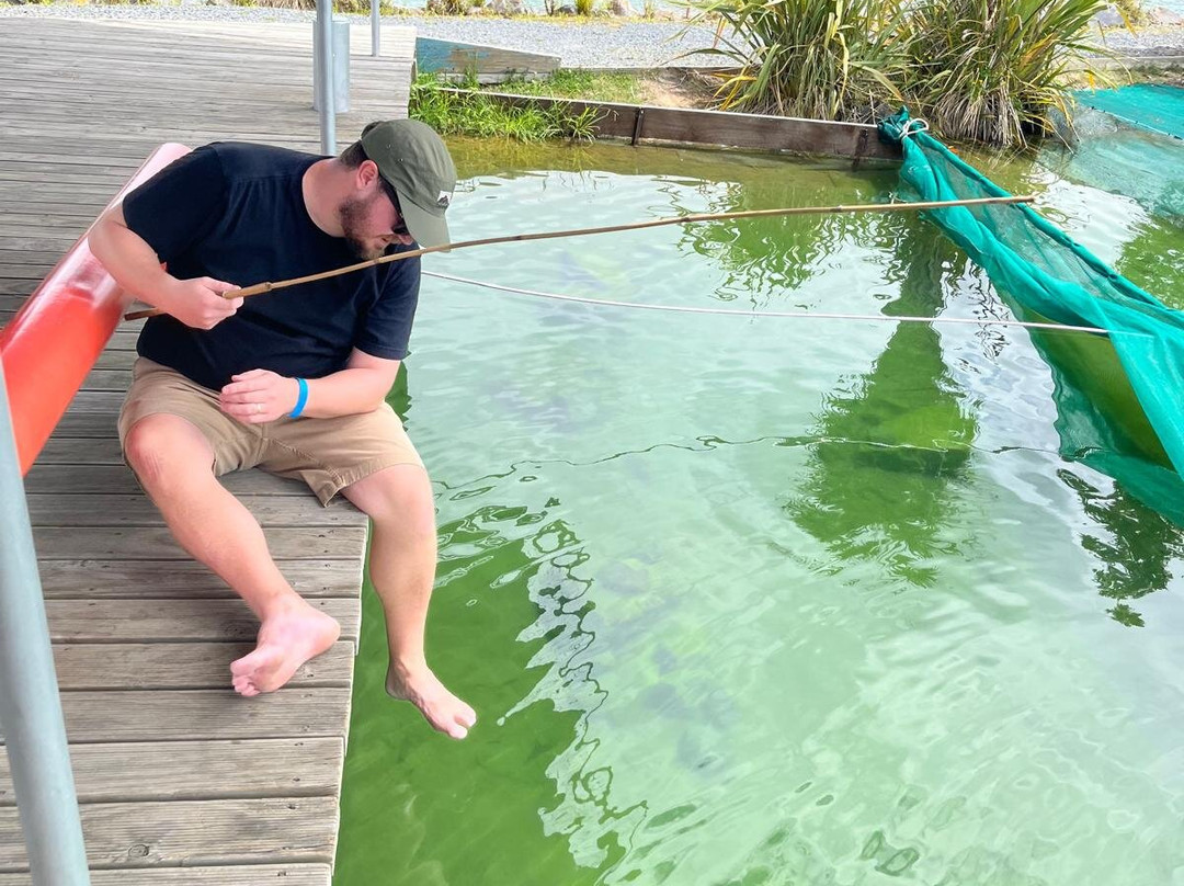 胡卡养虾场-陶波必去景点