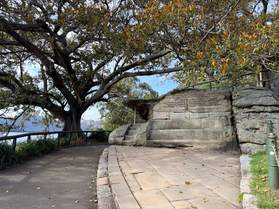 AEA Luxury Tours-Blue Mountains National Park必去景点