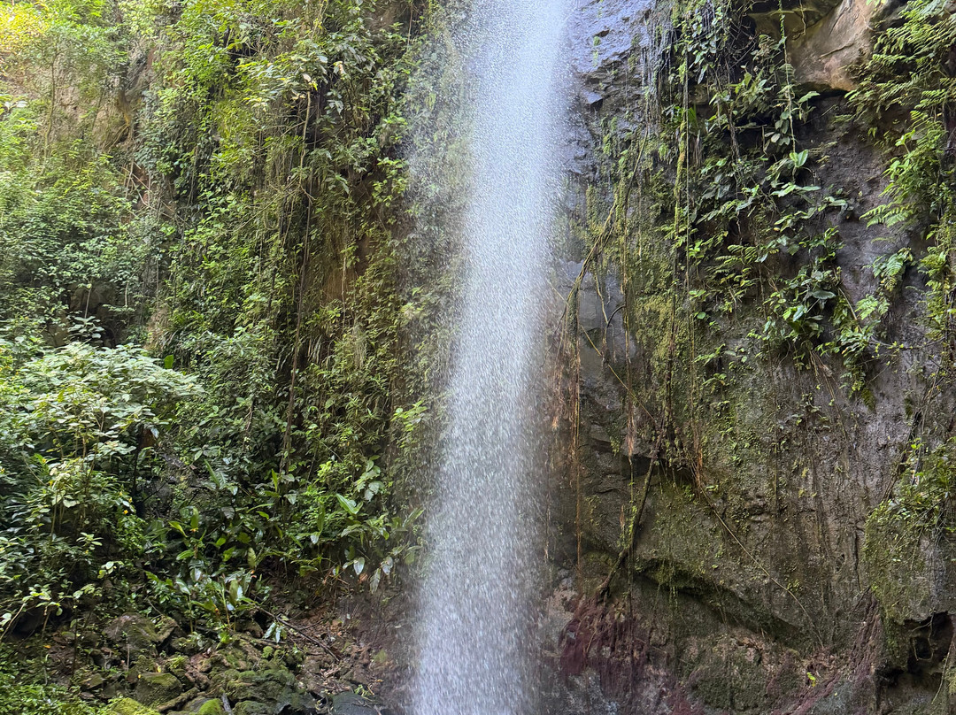 NexusTours-圣何塞必去景点
