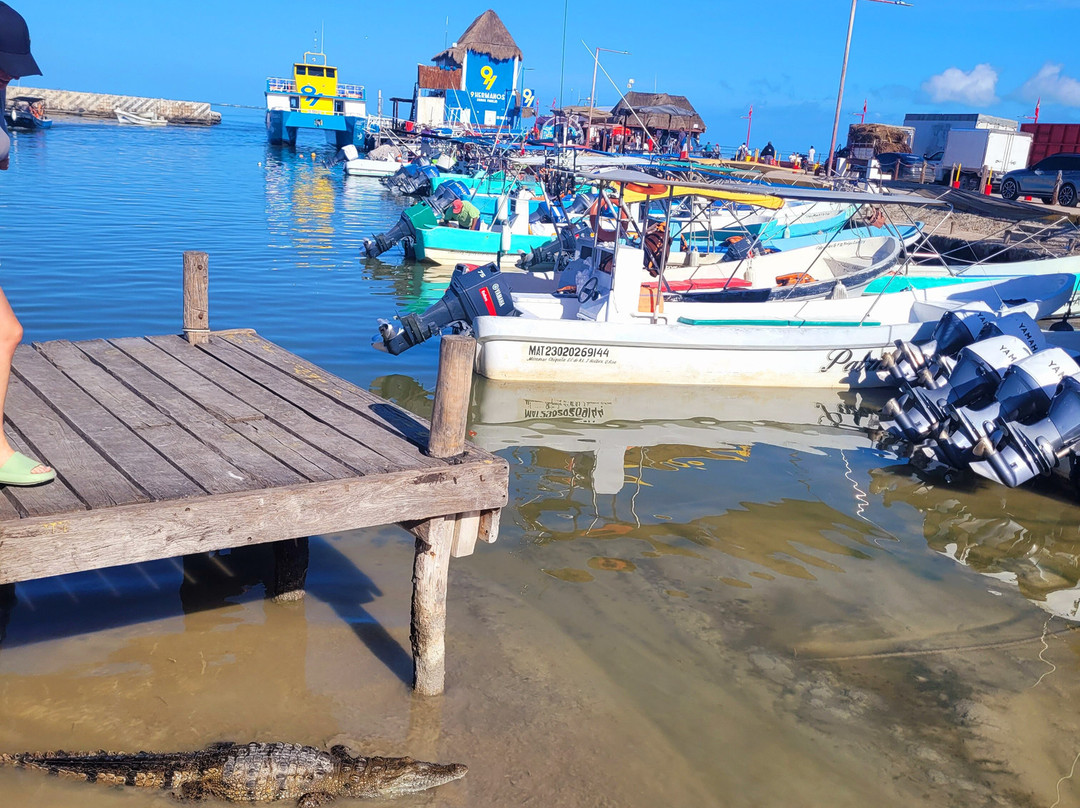 Santi Tour-普拉亚德尔卡曼必去景点