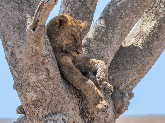 Sambora Private Journeys-吉佳利必去景点