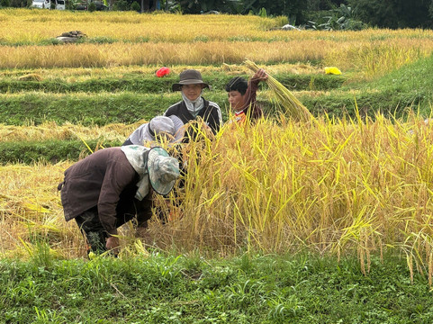 Unique Tours-河内必去景点