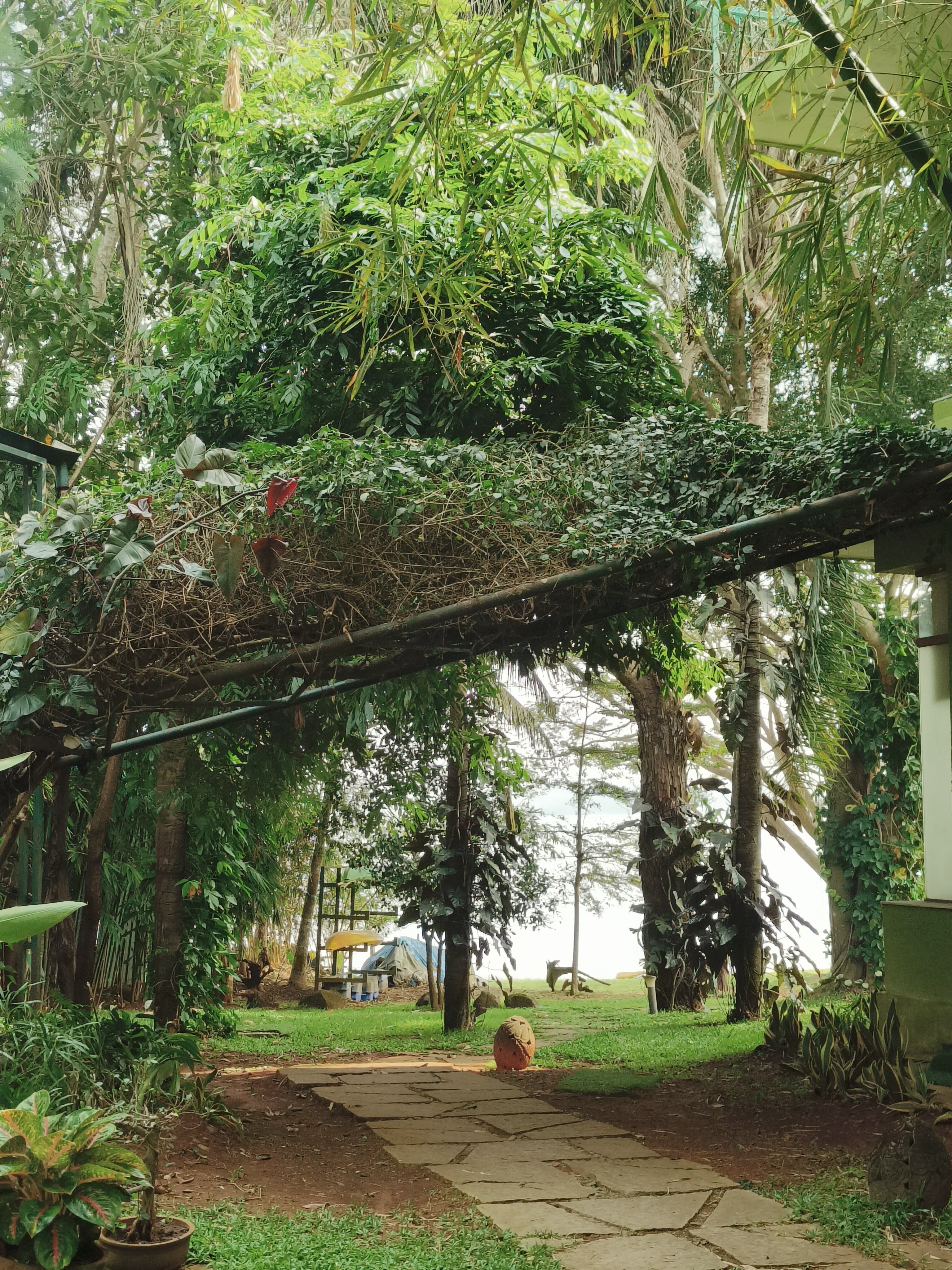 Waterwoods Lodge Kabini-官方