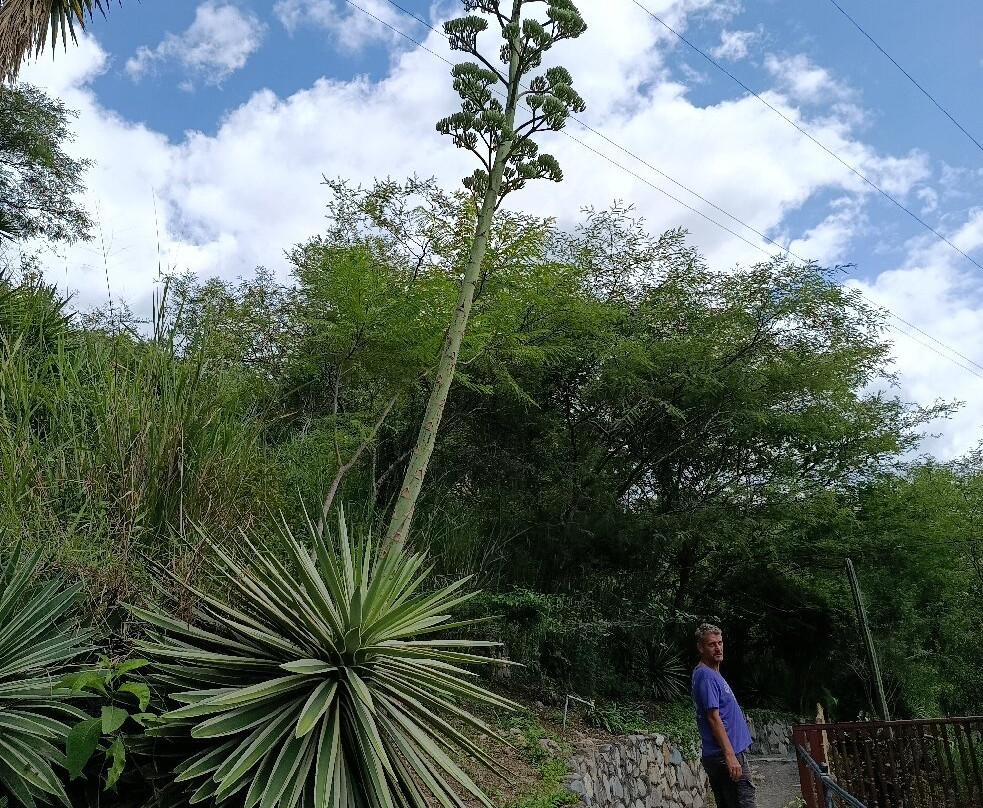 Hosteria Izhcayluma Spa-Vilcabamba必去景点