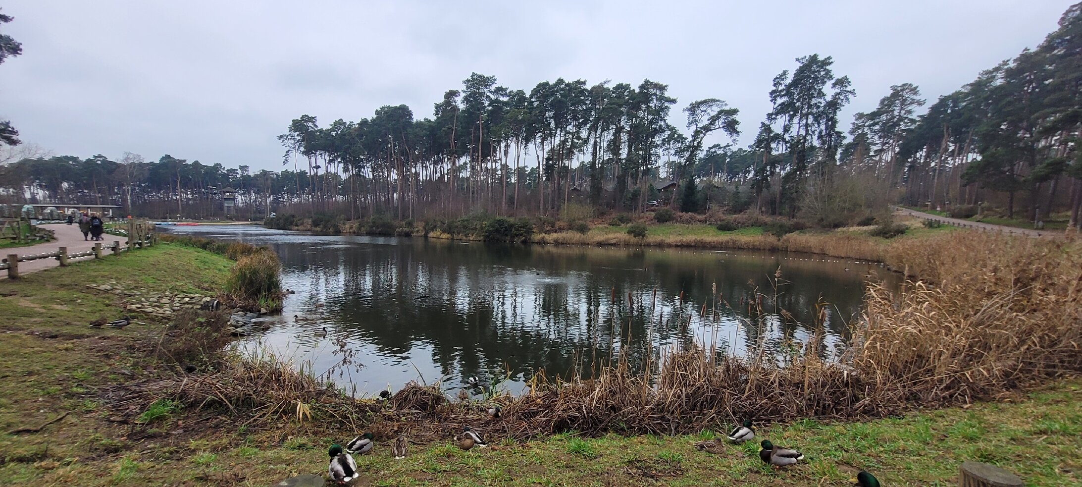 Center Parcs Woburn Forest-官方