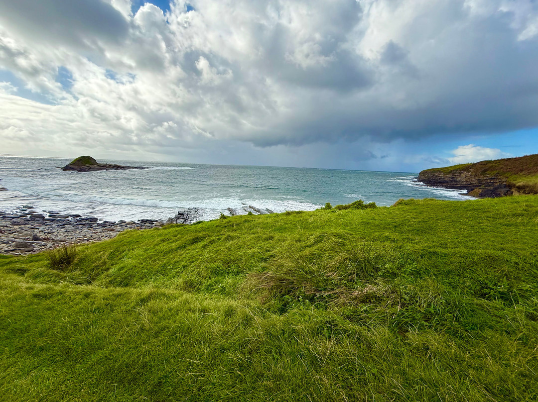 All Ireland Chauffeur Tours-沃特福德必去景点