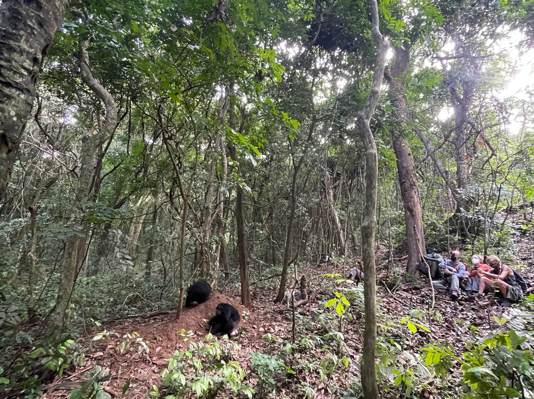 Kigoma Eco-Cultural Tourism-Kigoma必去景点