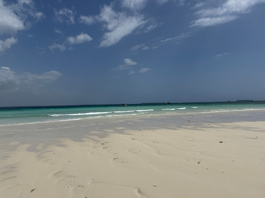 DALLOKY MAGNIFIQUES KENYA SAFARIS-蒙巴萨必去景点