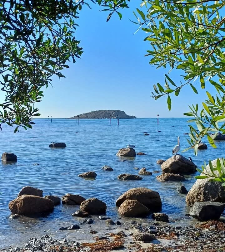 Victor Harbor Horse Drawn Tram-维克多港必去景点