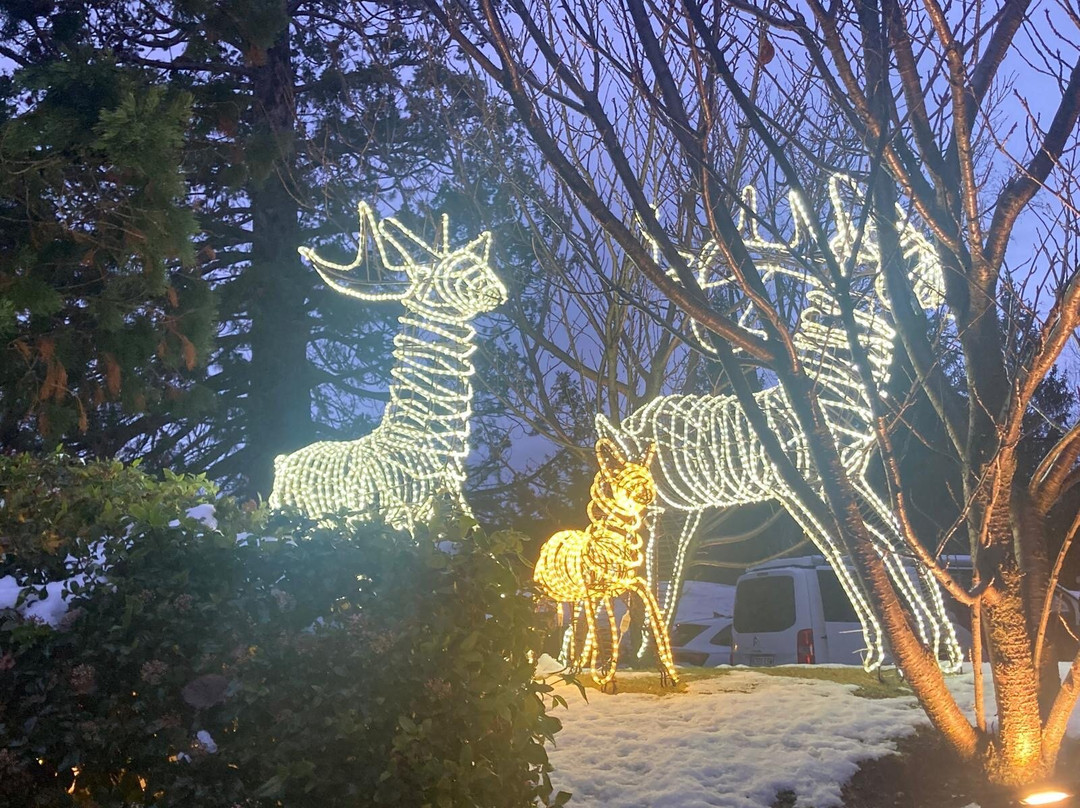 Torre Del Remei主图