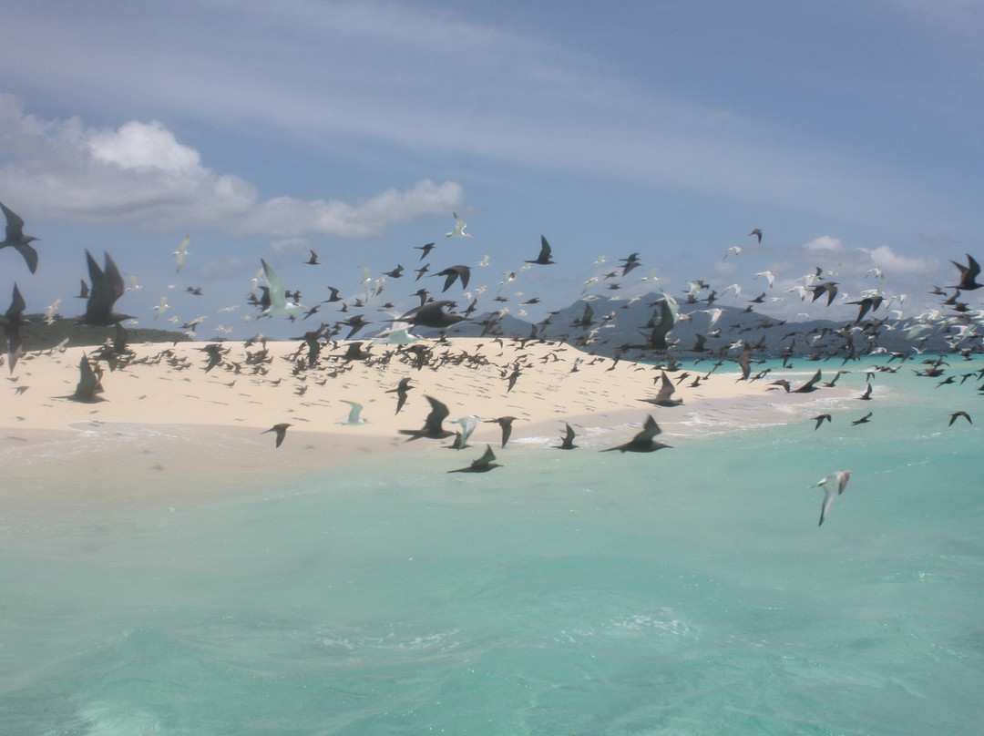 Sea Blue Safari-Mamoudzou必去景点