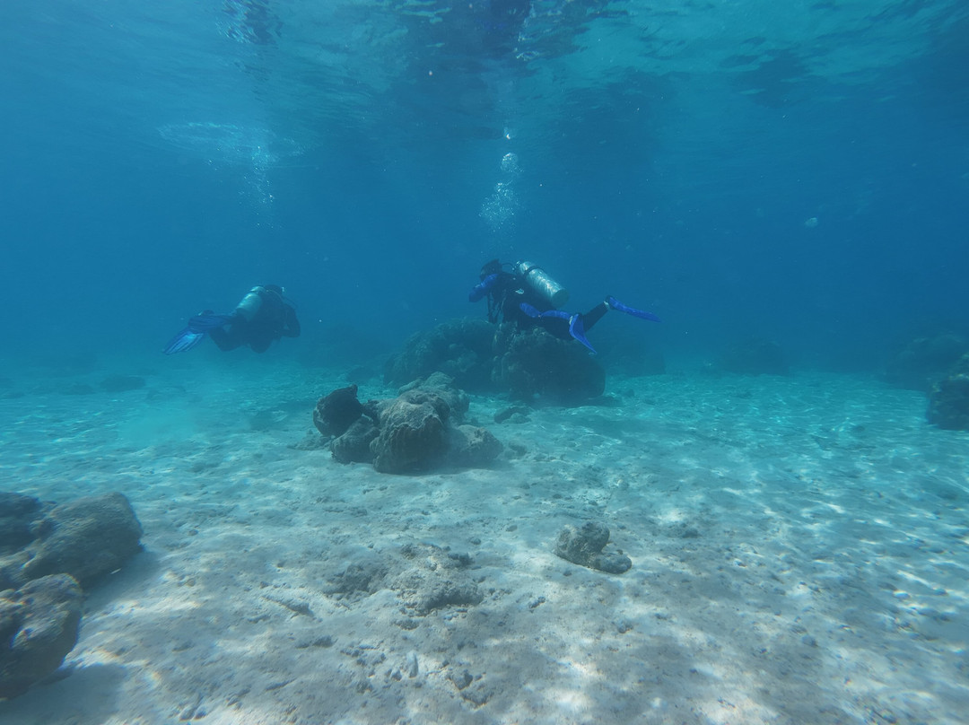 Varadero Diving Tour-Playa Larga必去景点