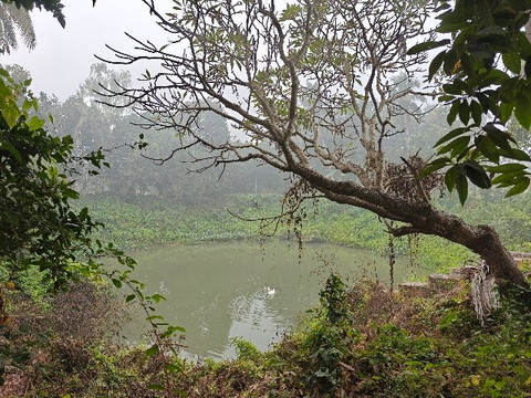 Cossimbazar Palace of the Roys (Rajbari)