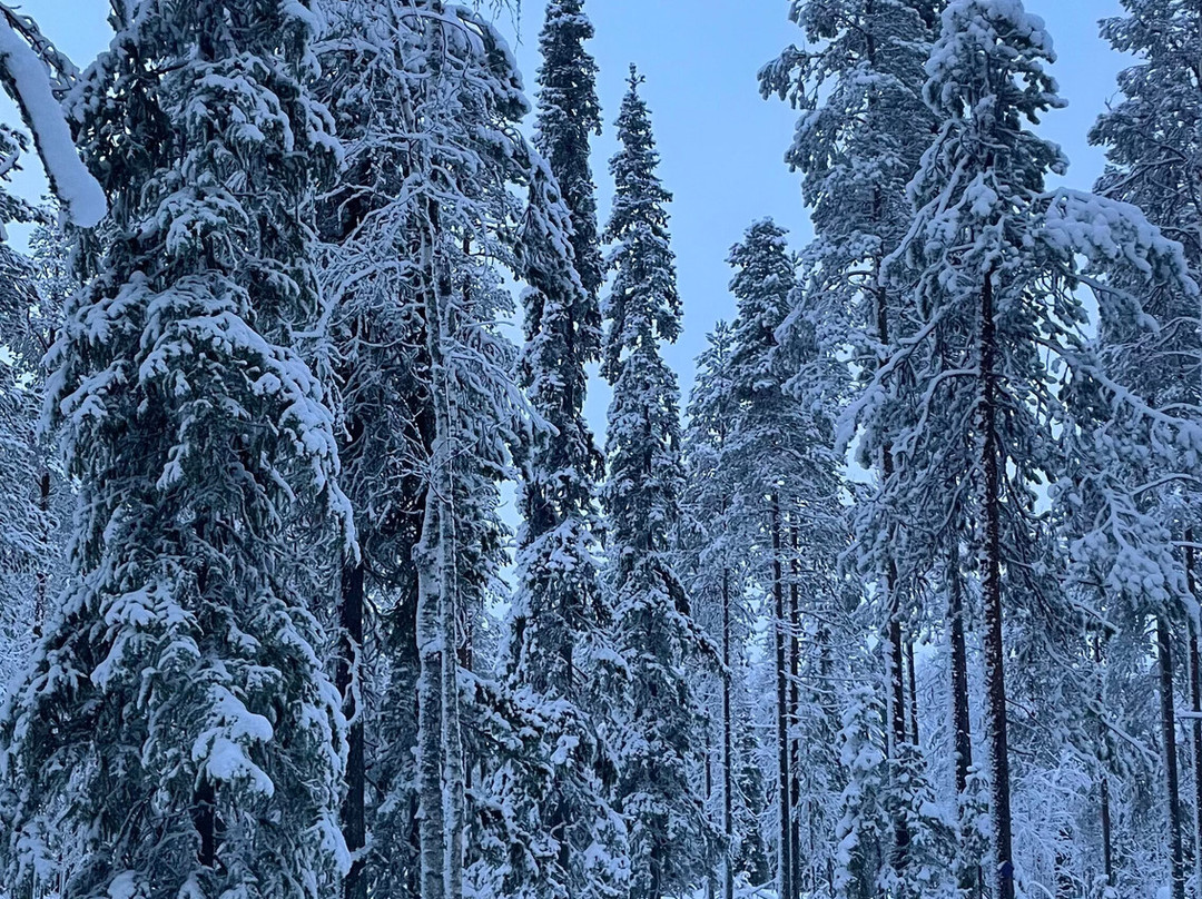 Lucky Ranch-Pyhatunturi必去景点