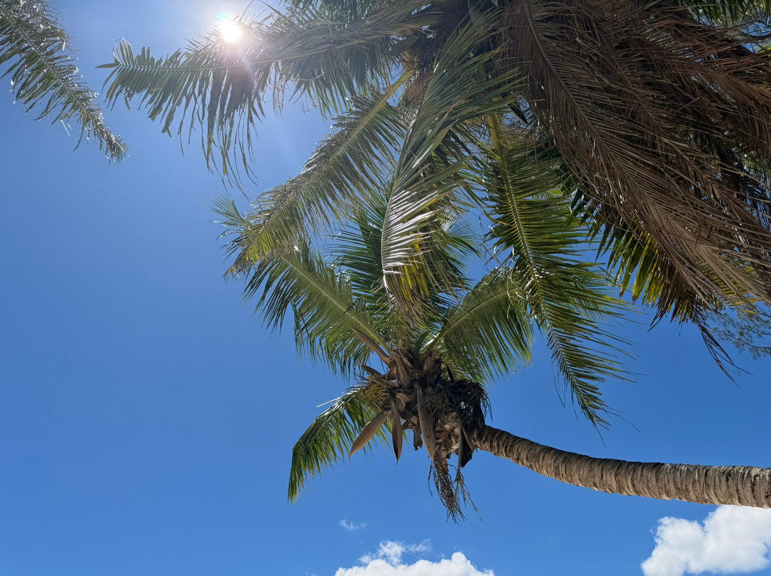 Curieuse Island-普拉兰岛必去景点