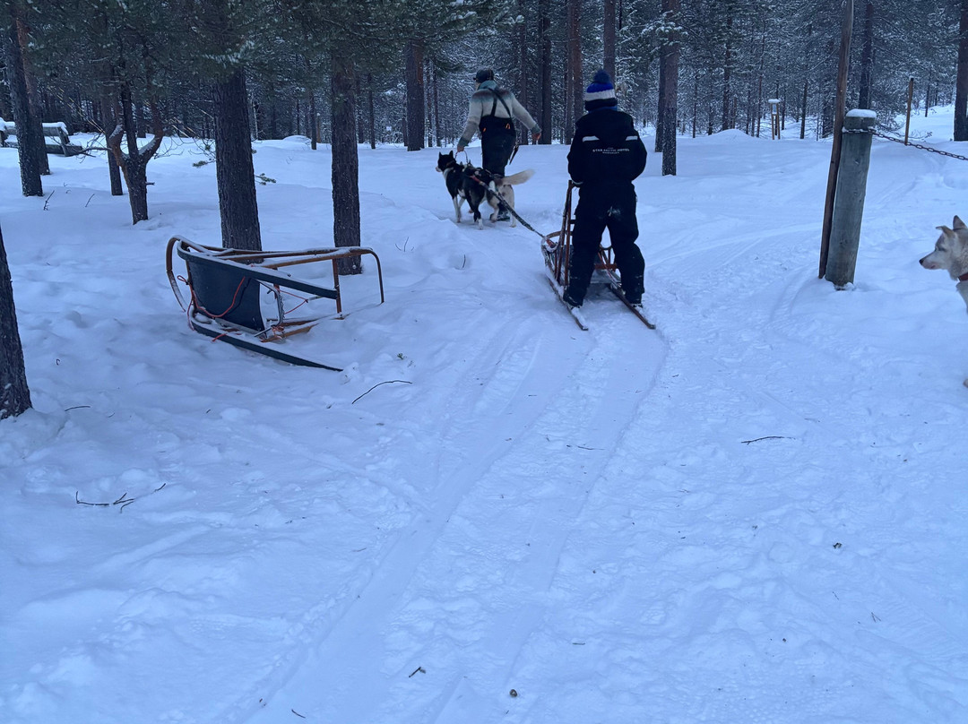 Ilonka Farm & Cafe-伊瓦洛必去景点