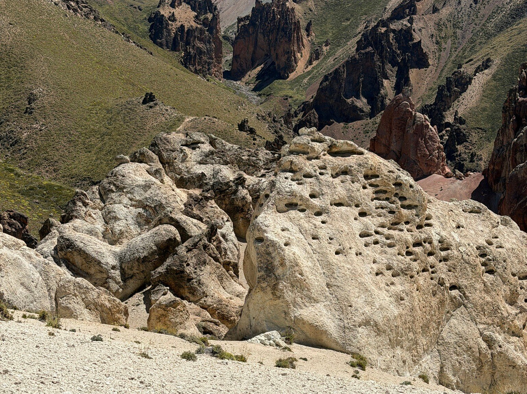 Reserva Nacional Jeinimeni-Chile Chico必去景点