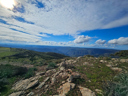 Agriturismo S'Armidda主图