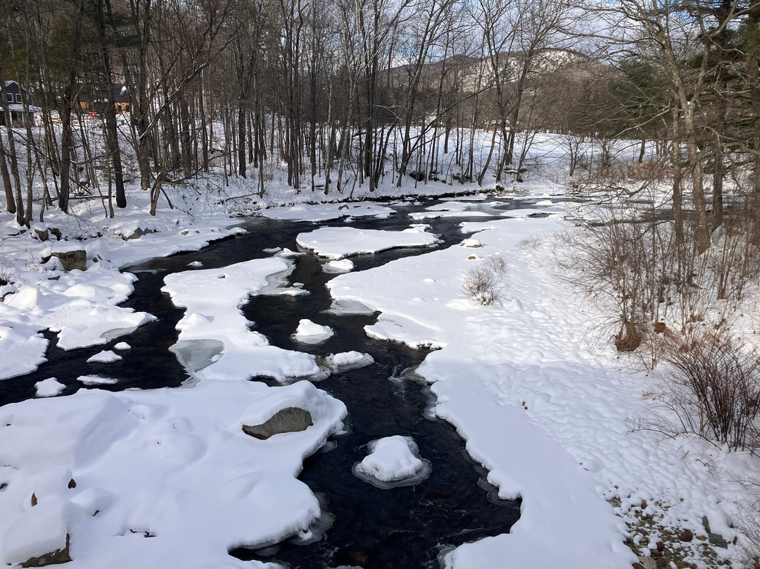 Honeymoon Bridge-杰克逊必去景点