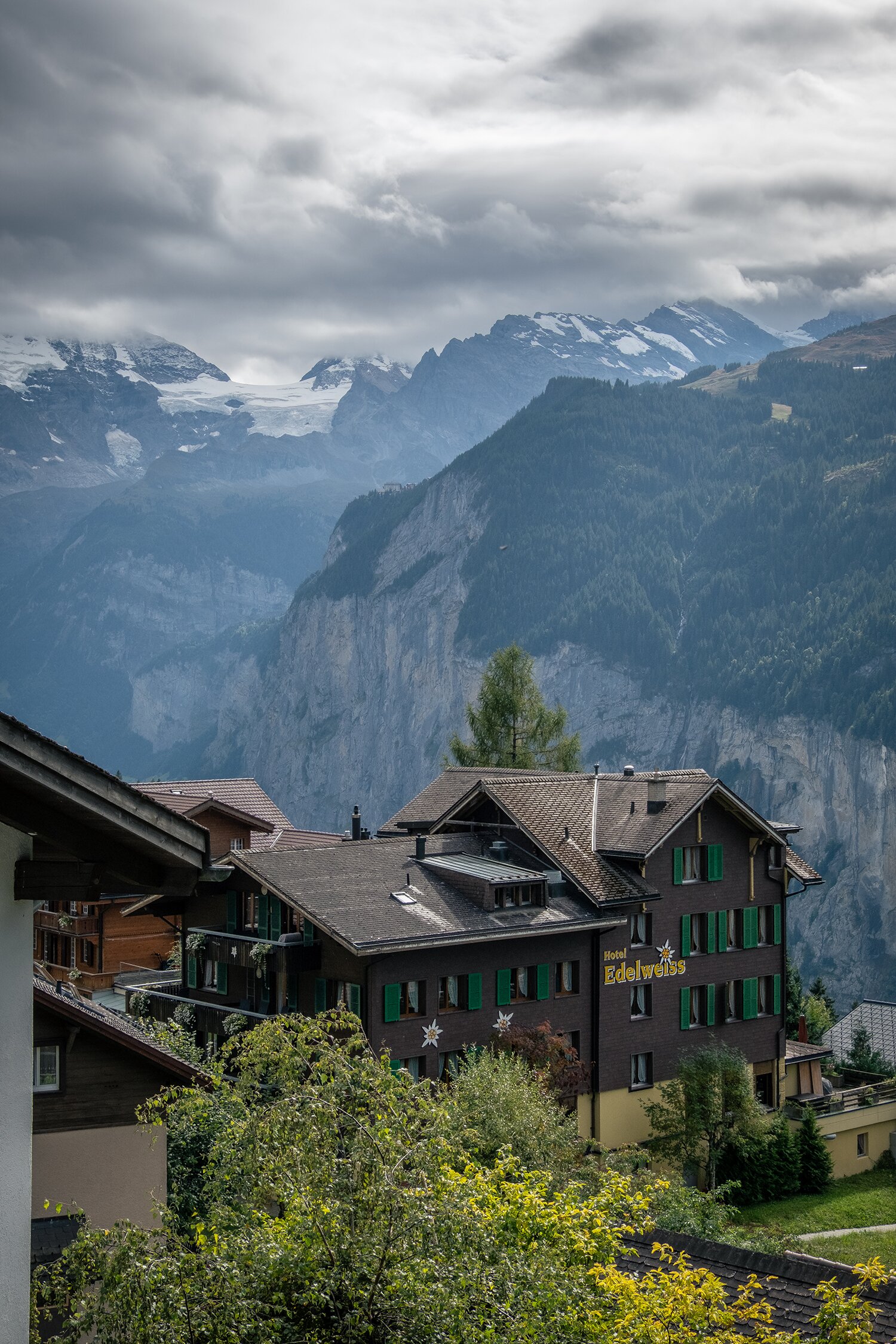 雪绒花酒店-官方
