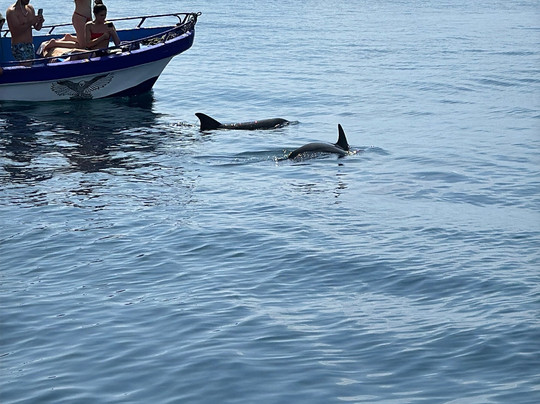 Wasini Trips-Wasini Island必去景点