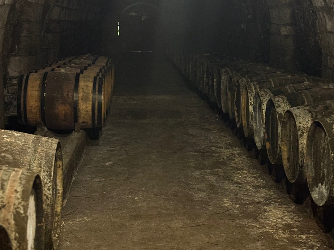 Chateau du Petit Thouars-Saint-Germain-sur-Vienne必去景点