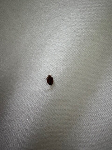 La Quinta Inn & Suites by Wyndham Bridgeport主图