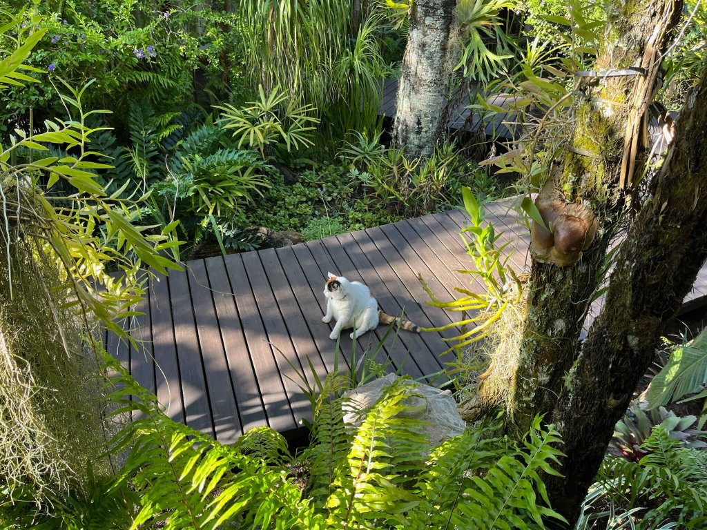 Lodge Afrique-浴室