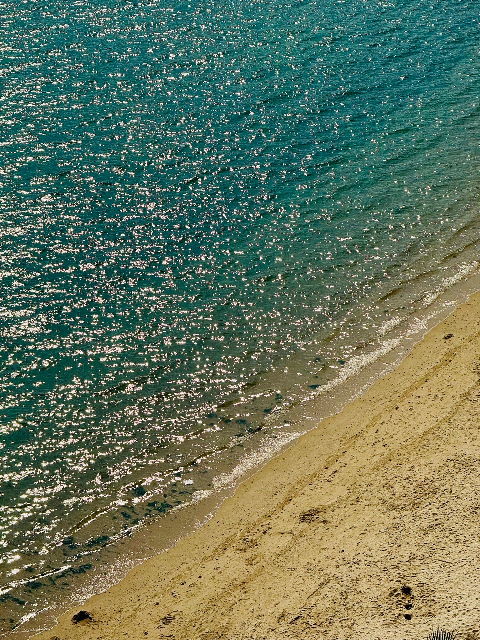 小径湾艾美酒店-官方