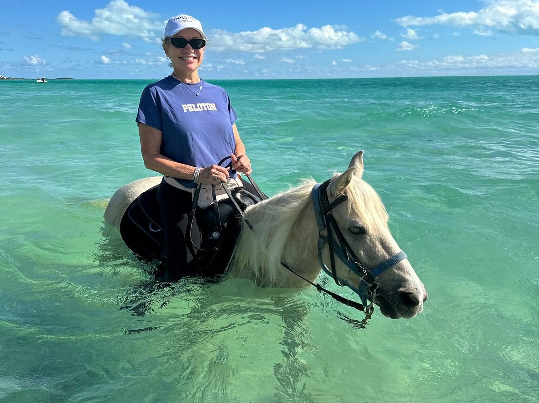 Provo Ponies-Long Bay Hills必去景点