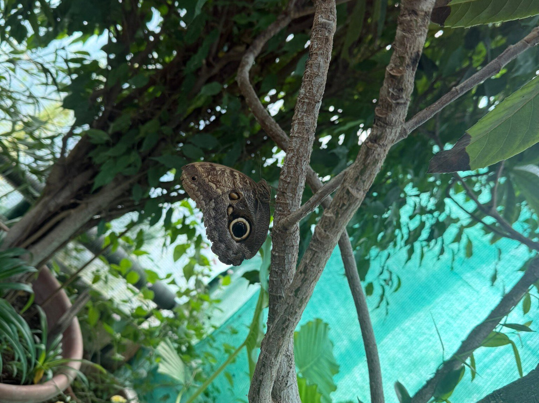 Botanical Garden of the University of Szeged-塞格德必去景点