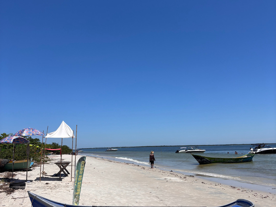 Além Das Trilhas-Londrina必去景点