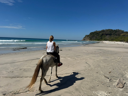 Horse Jungle-萨玛拉滩必去景点