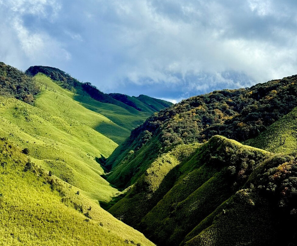 Dzukou Valley-Kohima必去景点