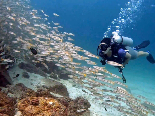 Oceanic Divecenter-卡塔海滩必去景点