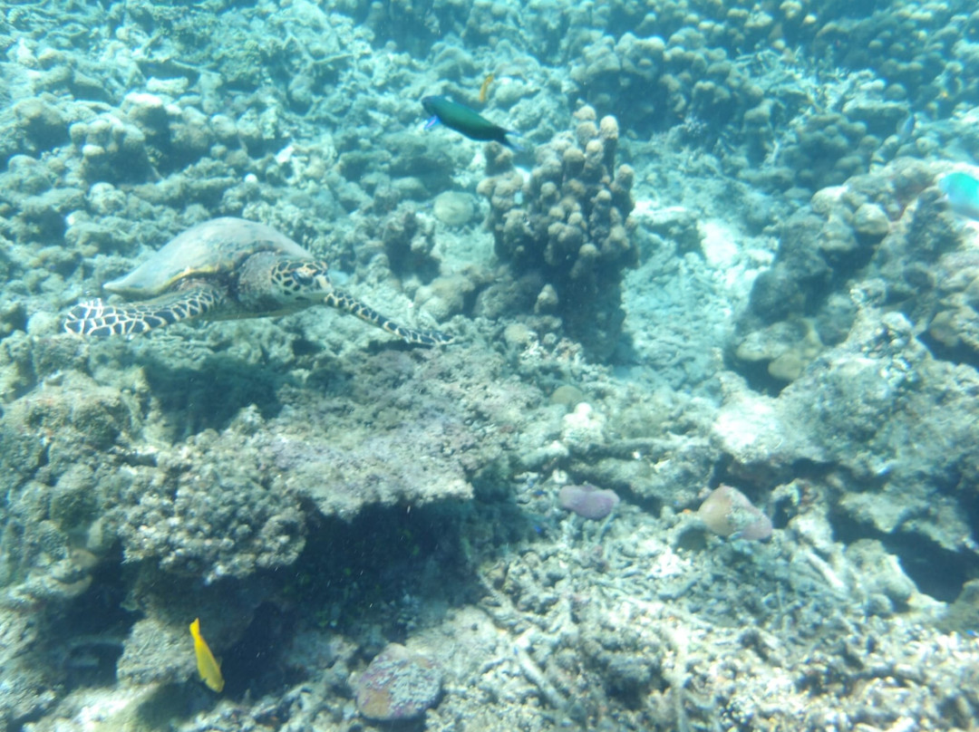 Nosy Tanikely-Nosy Tanihely必去景点