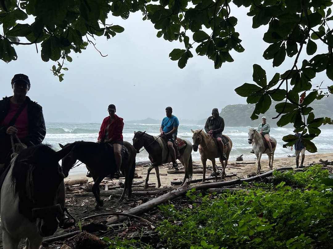 Ride The Rainforest-旧港必去景点